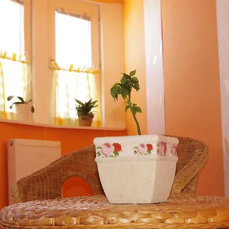 Apartament Bors Seghedin